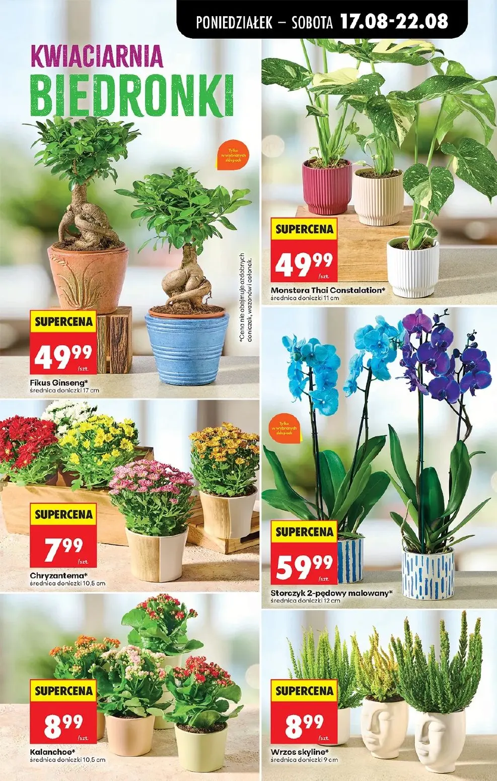 gazetka promocyjna Biedronka Od poniedziałku - Strona 81