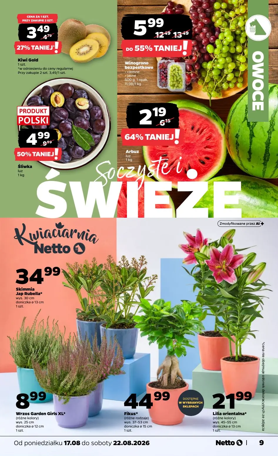 gazetka promocyjna NETTO Gazetka spożywcza  - Strona 9
