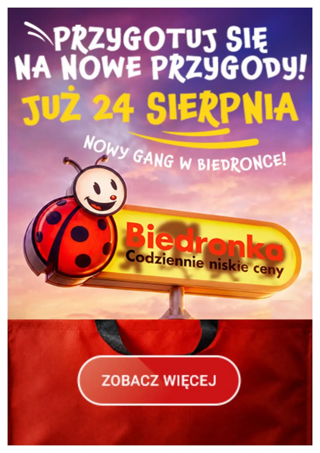 gazetka promocyjna Biedronka Biedronkowe oszczędności - Strona 8