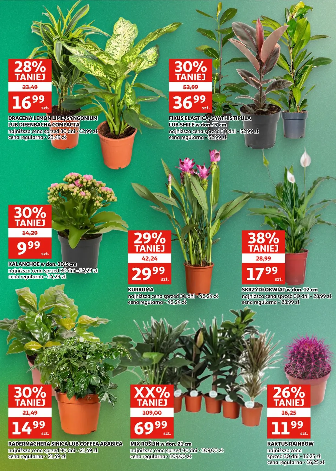gazetka promocyjna Auchan Zielona Góra - Strona 20
