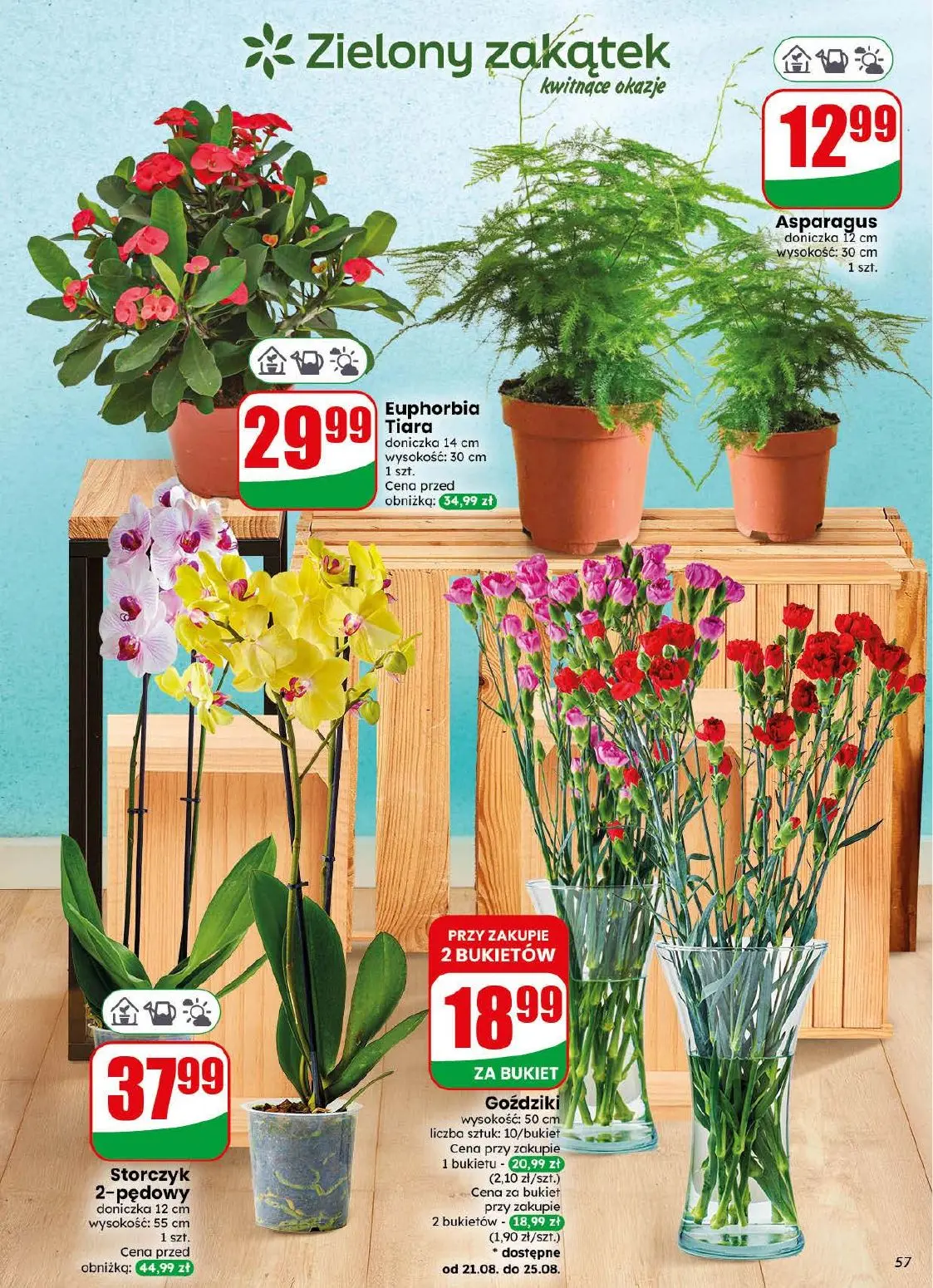 gazetka promocyjna dino Najbliżej Ciebie - Strona 57