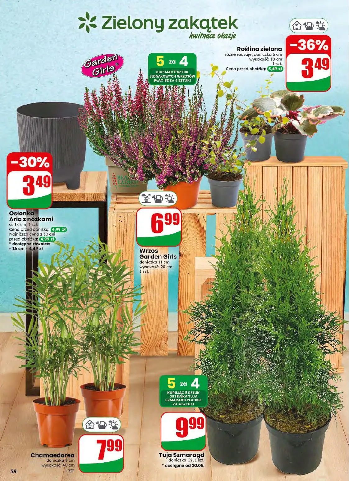 gazetka promocyjna dino Najbliżej Ciebie - Strona 58