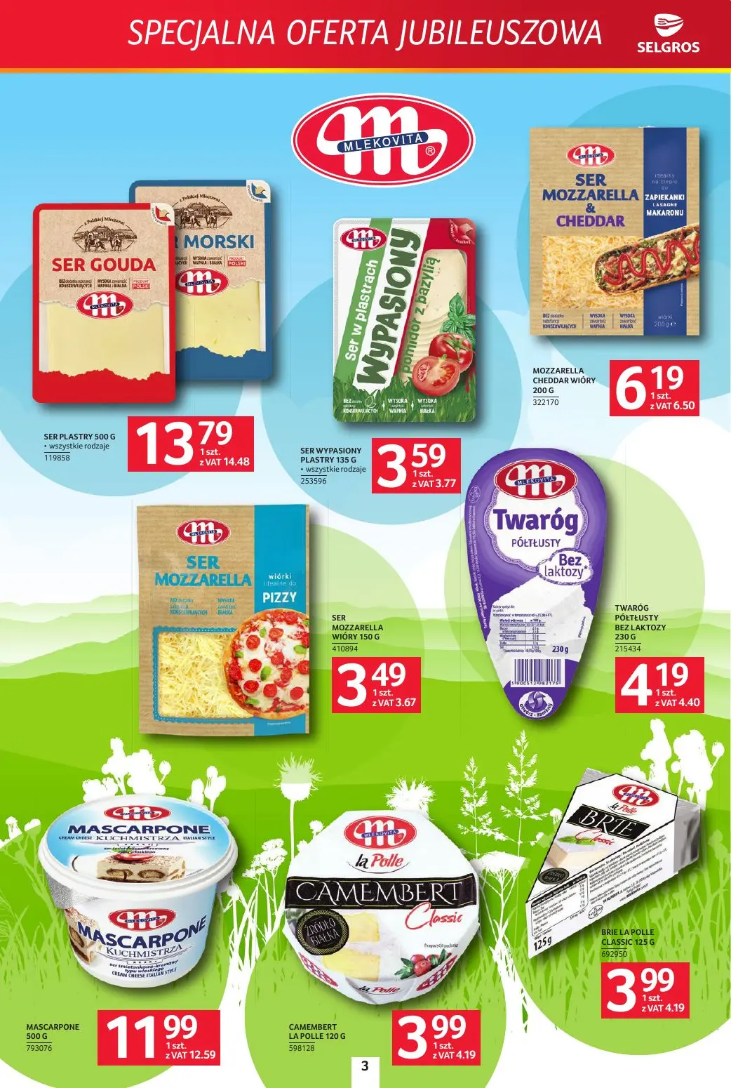 gazetka promocyjna SELGROS Specjalna Oferta Jubileuszowa
 - Strona 3
