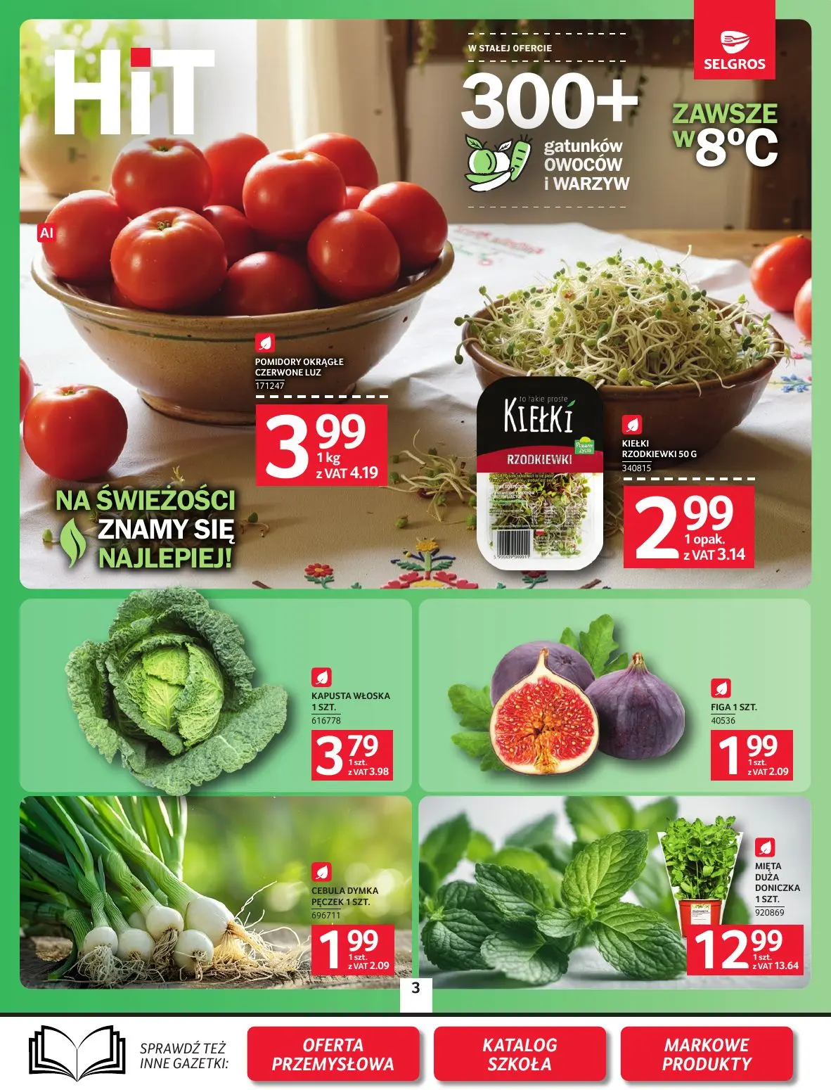 gazetka promocyjna SELGROS Oferta spożywcza - Strona 3