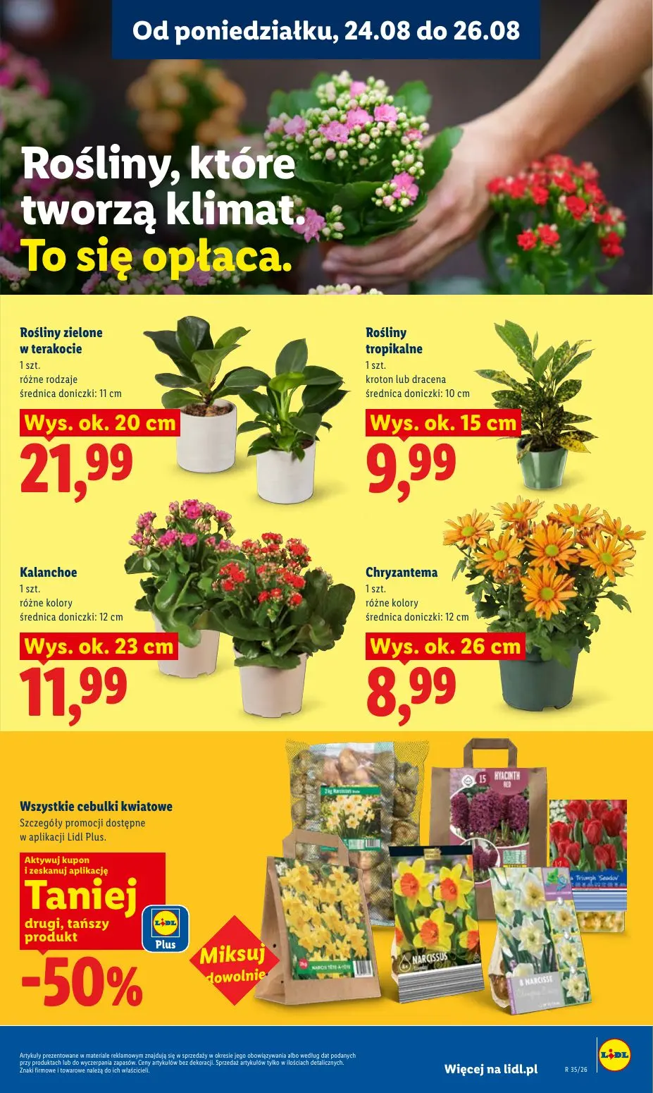 gazetka promocyjna LIDL Od poniedziałku - Strona 85