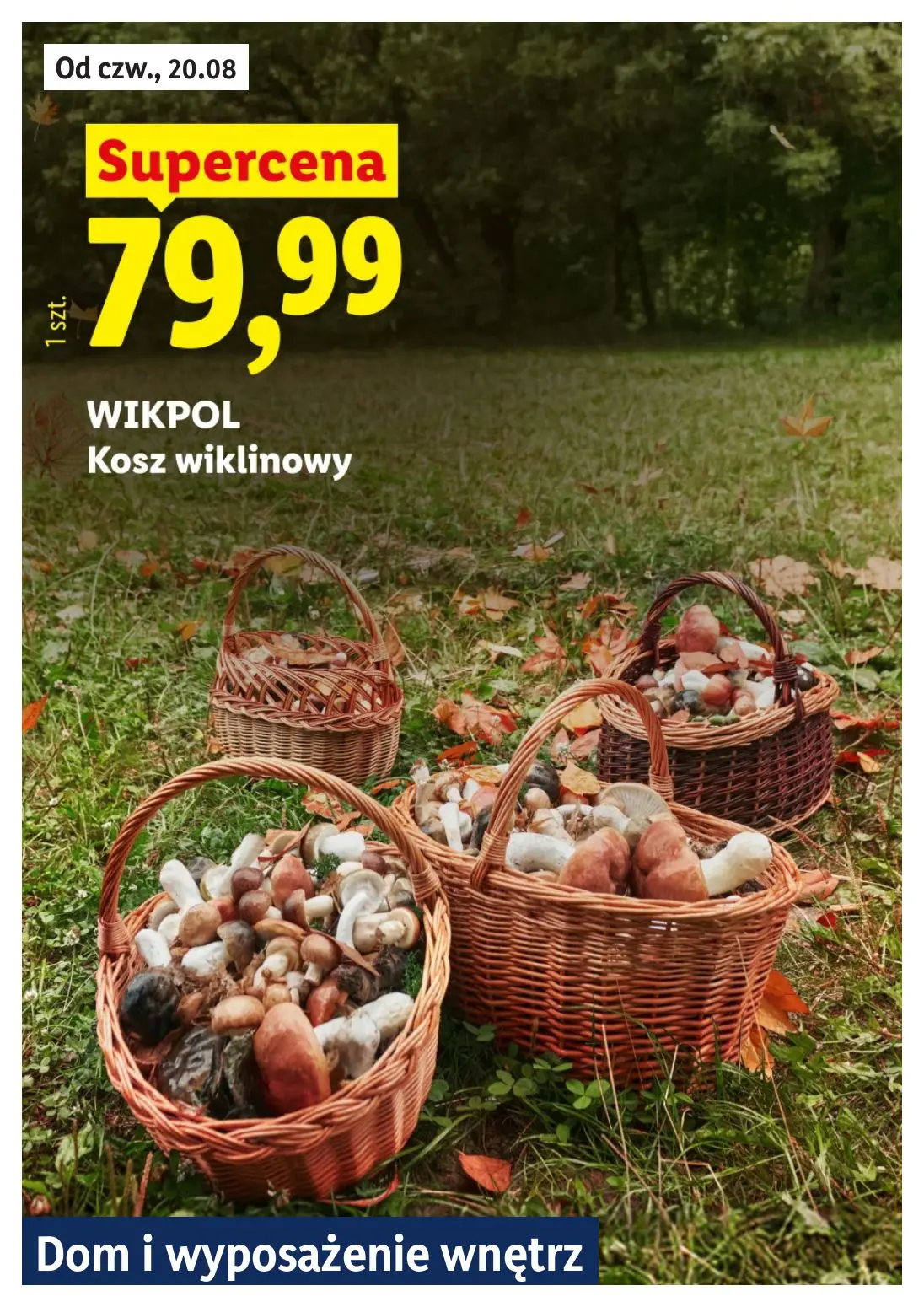 gazetka promocyjna LIDL Lidl plus. Skanujesz - To się opłaca - Strona 15