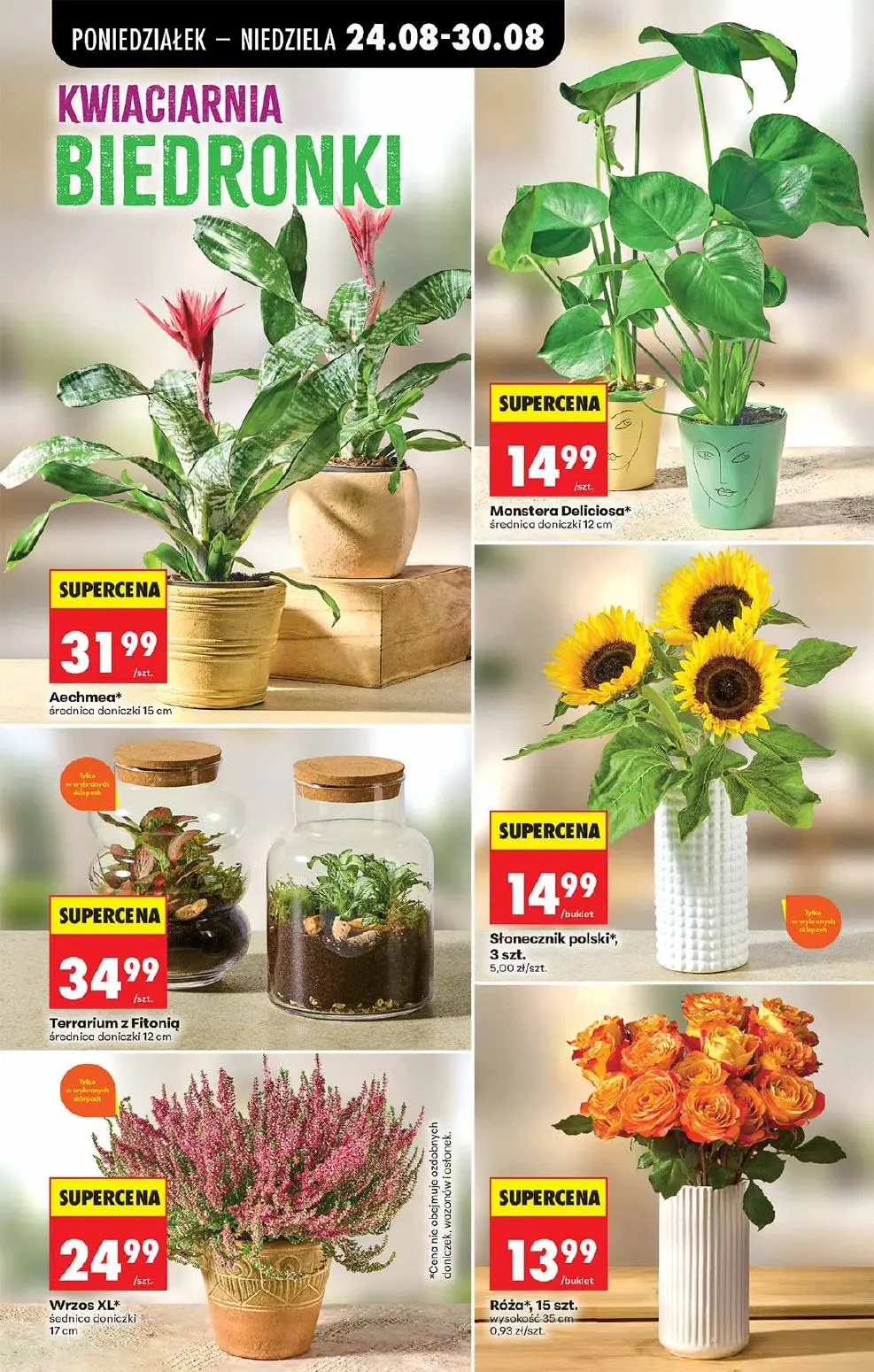 gazetka promocyjna Biedronka Lada tradycyjna. Od poniedziałku - Strona 73