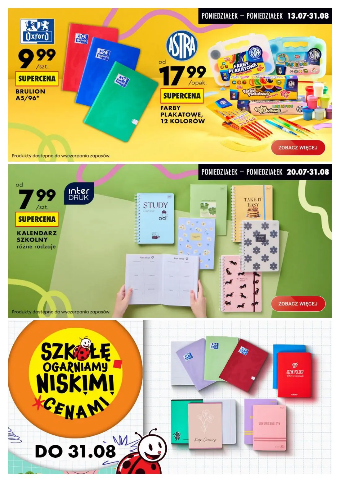 gazetka promocyjna Biedronka Biedronkowe oszczędności - Strona 13