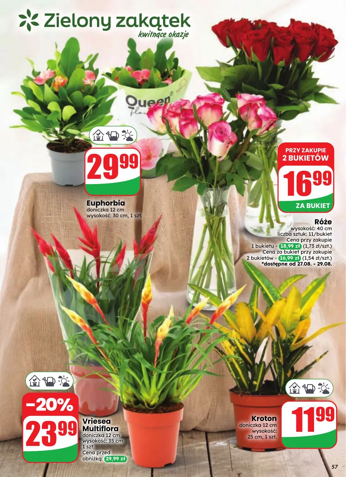 gazetka promocyjna dino Najbliżej Ciebie - Strona 57