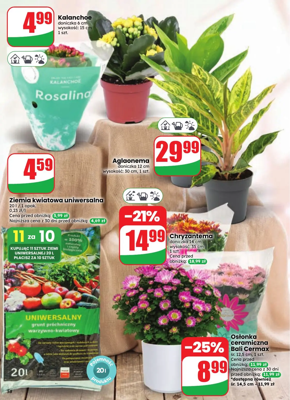 gazetka promocyjna dino Najbliżej Ciebie - Strona 58