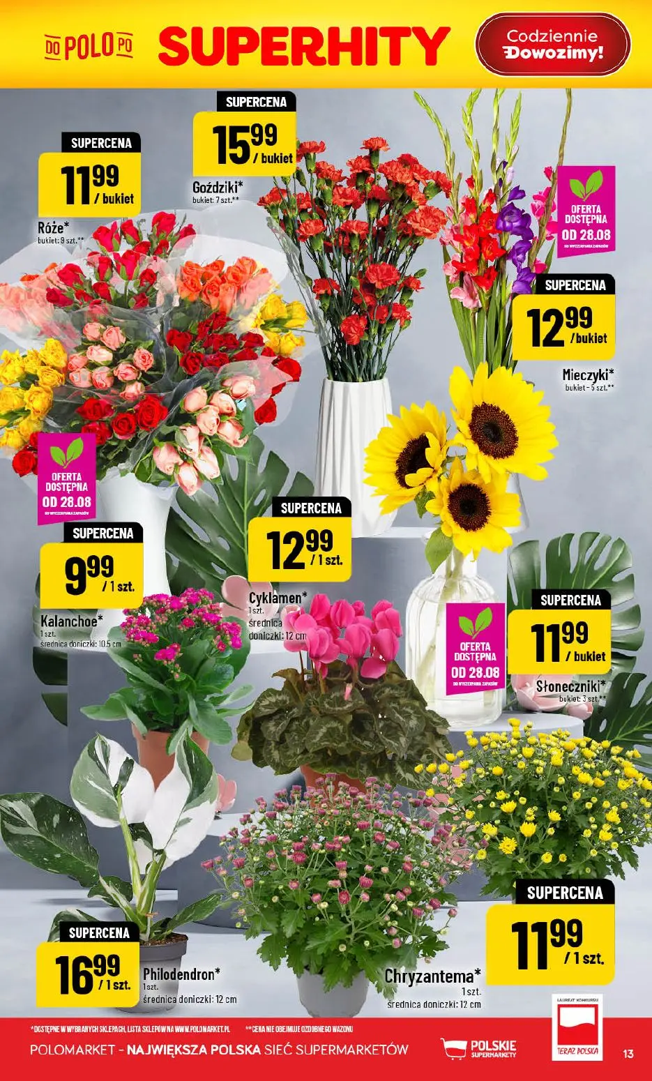 gazetka promocyjna POLOmarket Od ŚRODY do wtorku - Strona 13