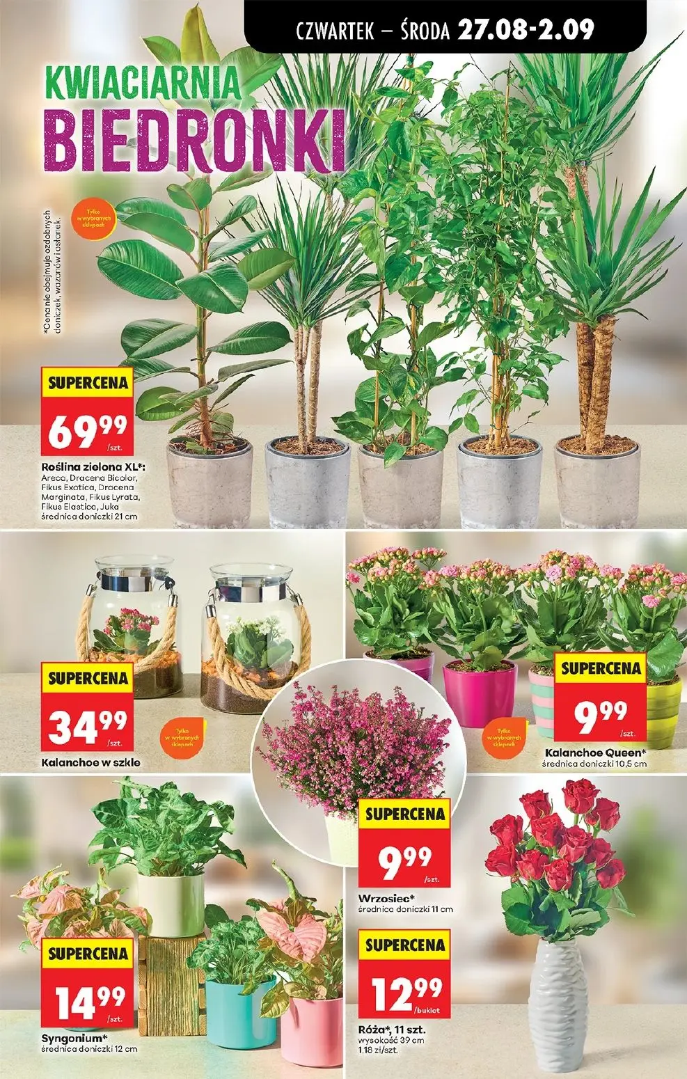 gazetka promocyjna Biedronka Od czwartku - Strona 79
