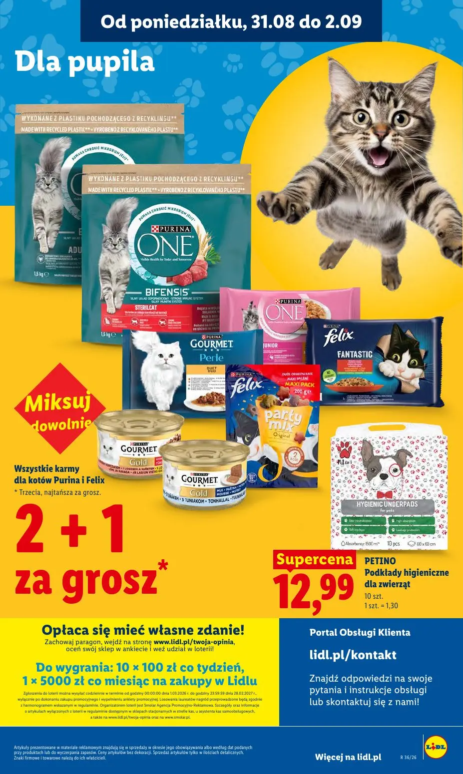 gazetka promocyjna LIDL Od poniedziałku - Strona 85