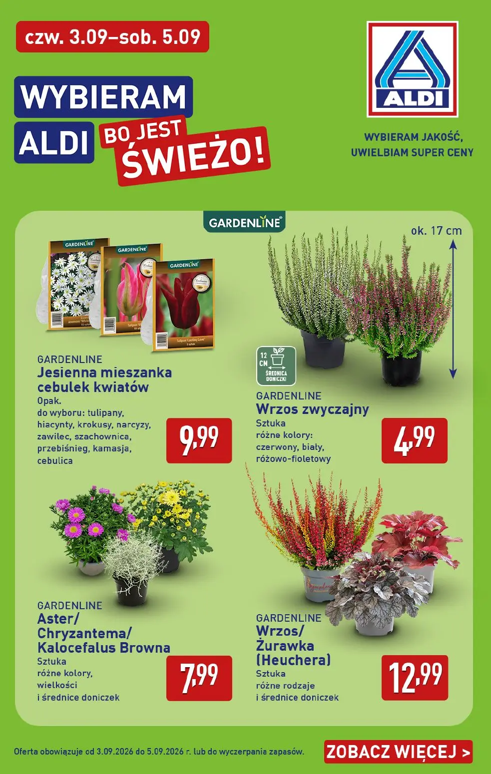 gazetka promocyjna ALDI Wybieram ALDI - Strona 38