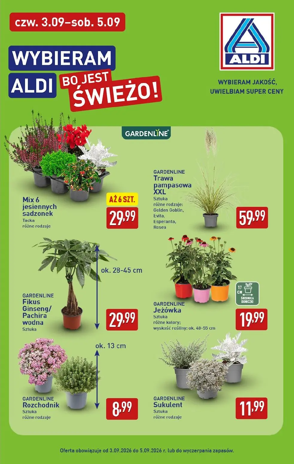 gazetka promocyjna ALDI Wybieram ALDI - Strona 39