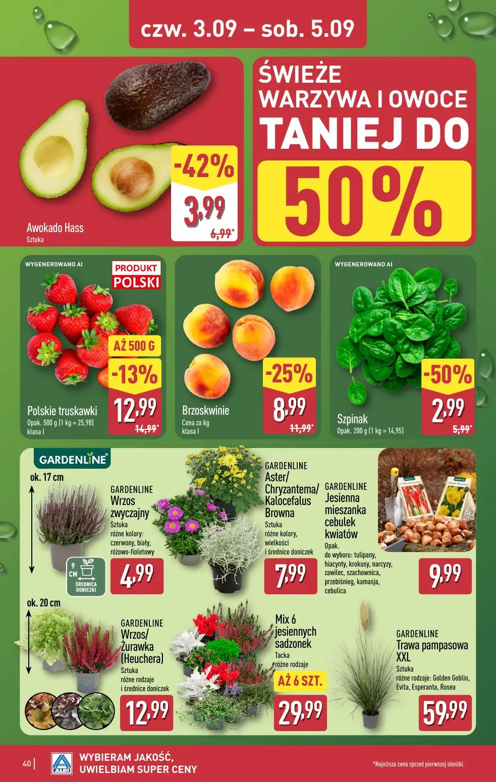 gazetka promocyjna ALDI Wybieram ALDI - Strona 40