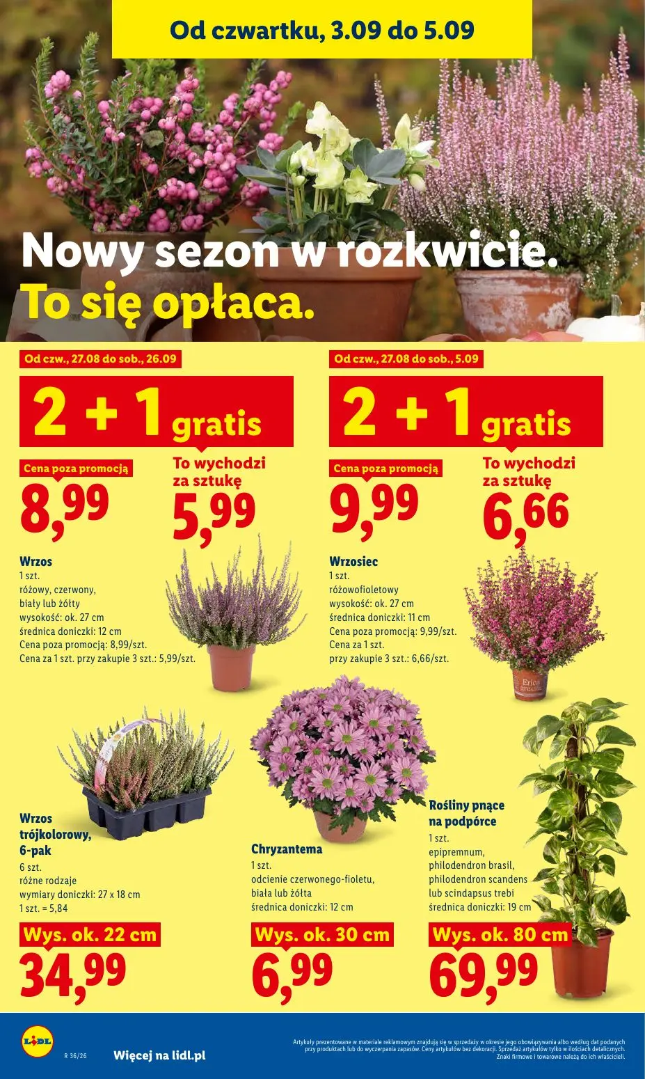gazetka promocyjna LIDL Od czwartku - Strona 90