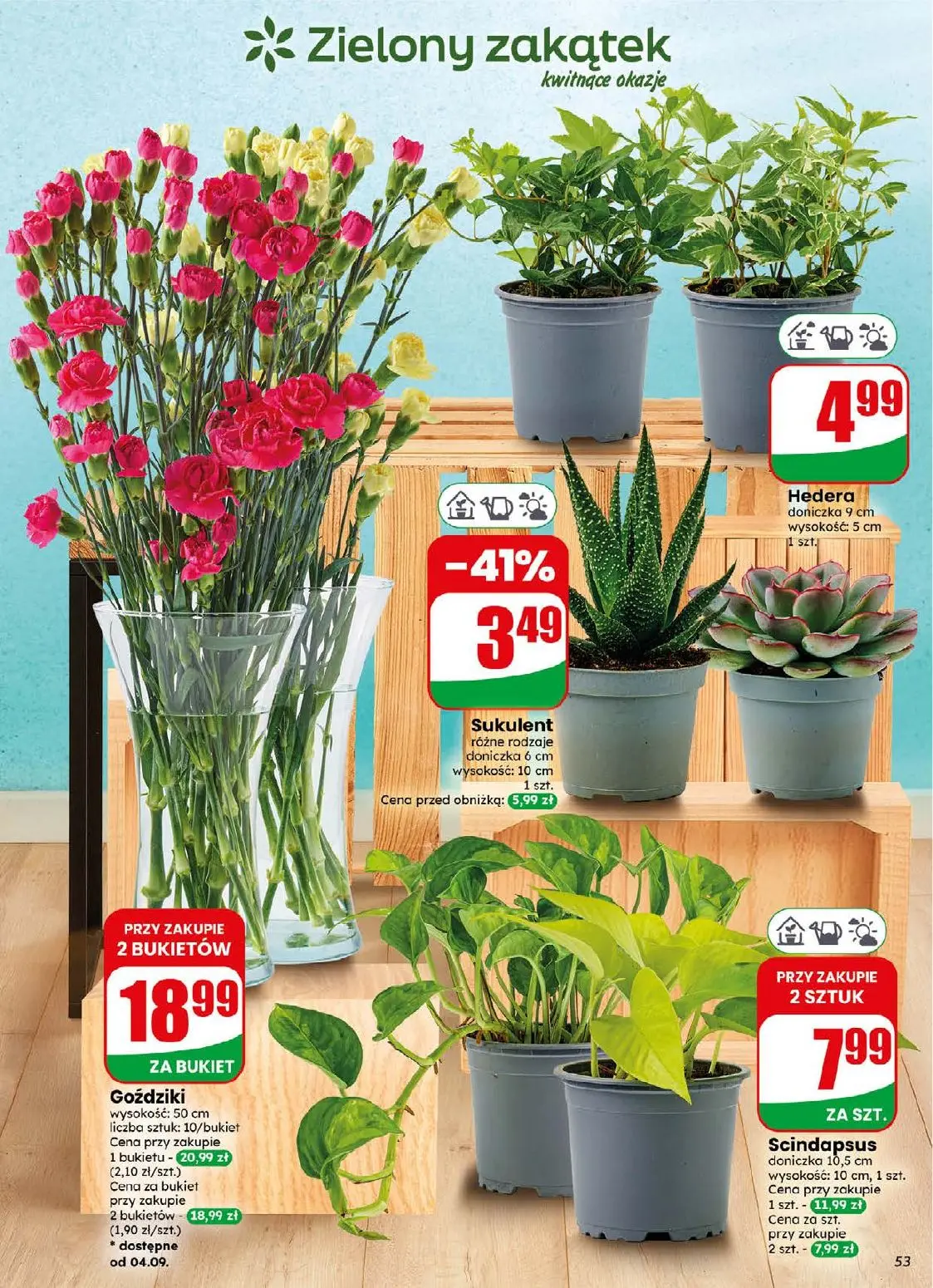 gazetka promocyjna dino Najbliżej Ciebie - Strona 53