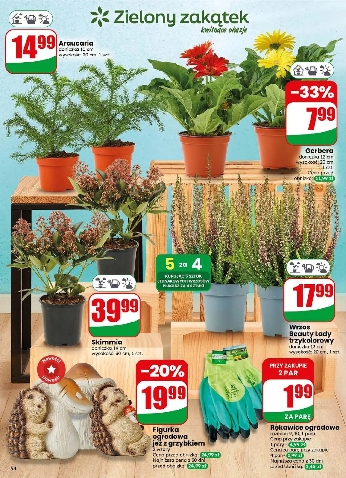 gazetka promocyjna dino Najbliżej Ciebie - Strona 54