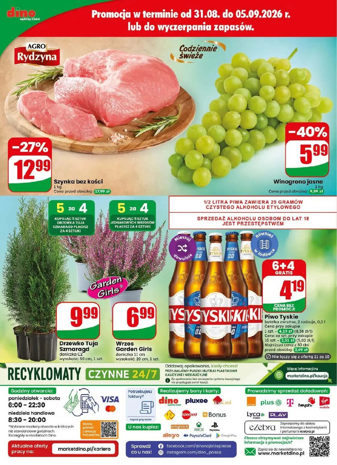 gazetka promocyjna dino Najbliżej Ciebie - Strona 80