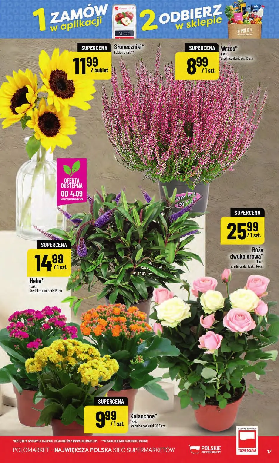 gazetka promocyjna POLOmarket Od ŚRODY do wtorku - Strona 17