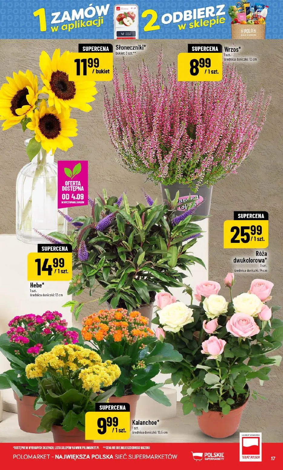 gazetka promocyjna POLOmarket Od ŚRODY do wtorku - Strona 17