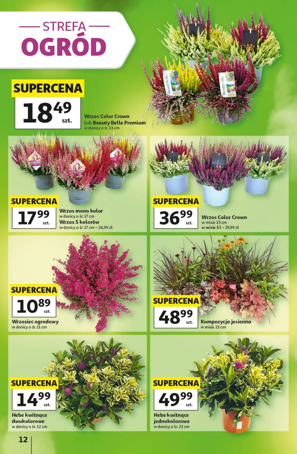 gazetka promocyjna Auchan Strefa szkoła - Strona 12