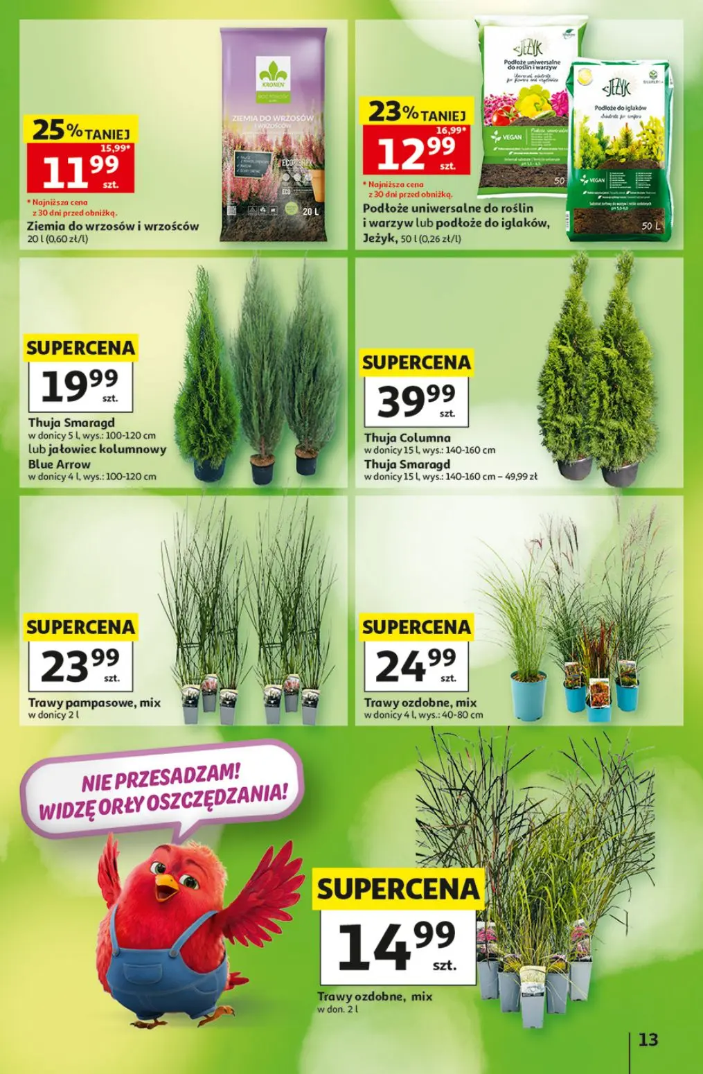 gazetka promocyjna Auchan Strefa szkoła - Strona 13