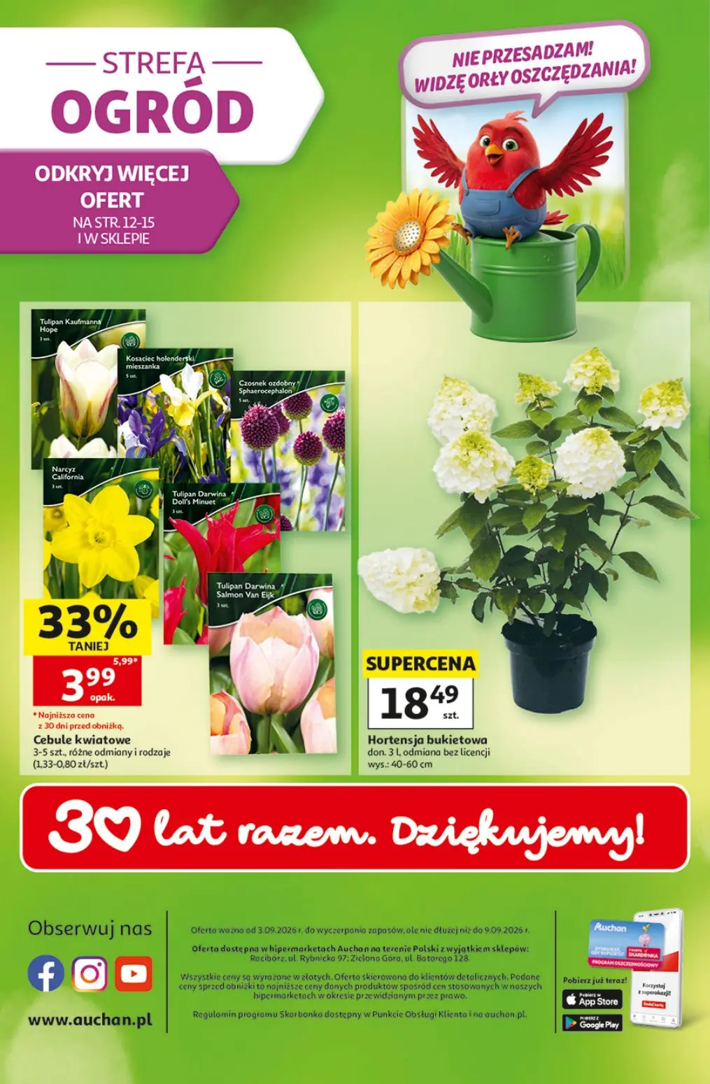 gazetka promocyjna Auchan Strefa szkoła - Strona 49