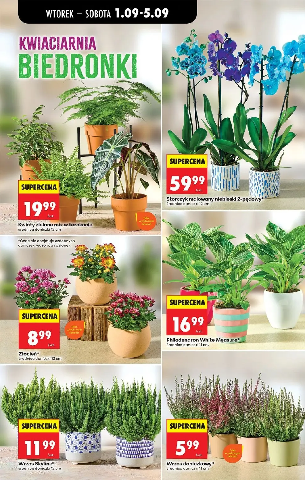 gazetka promocyjna Biedronka Lada tradycyjna. Od czwartku - Strona 31