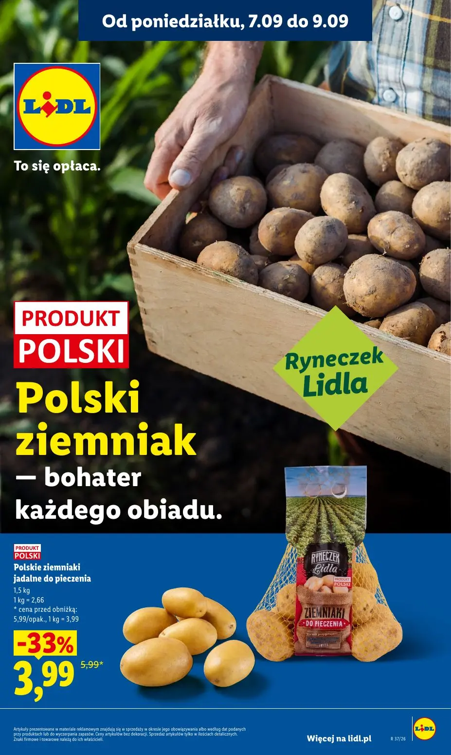 gazetka promocyjna LIDL Od poniedziałku - Strona 31
