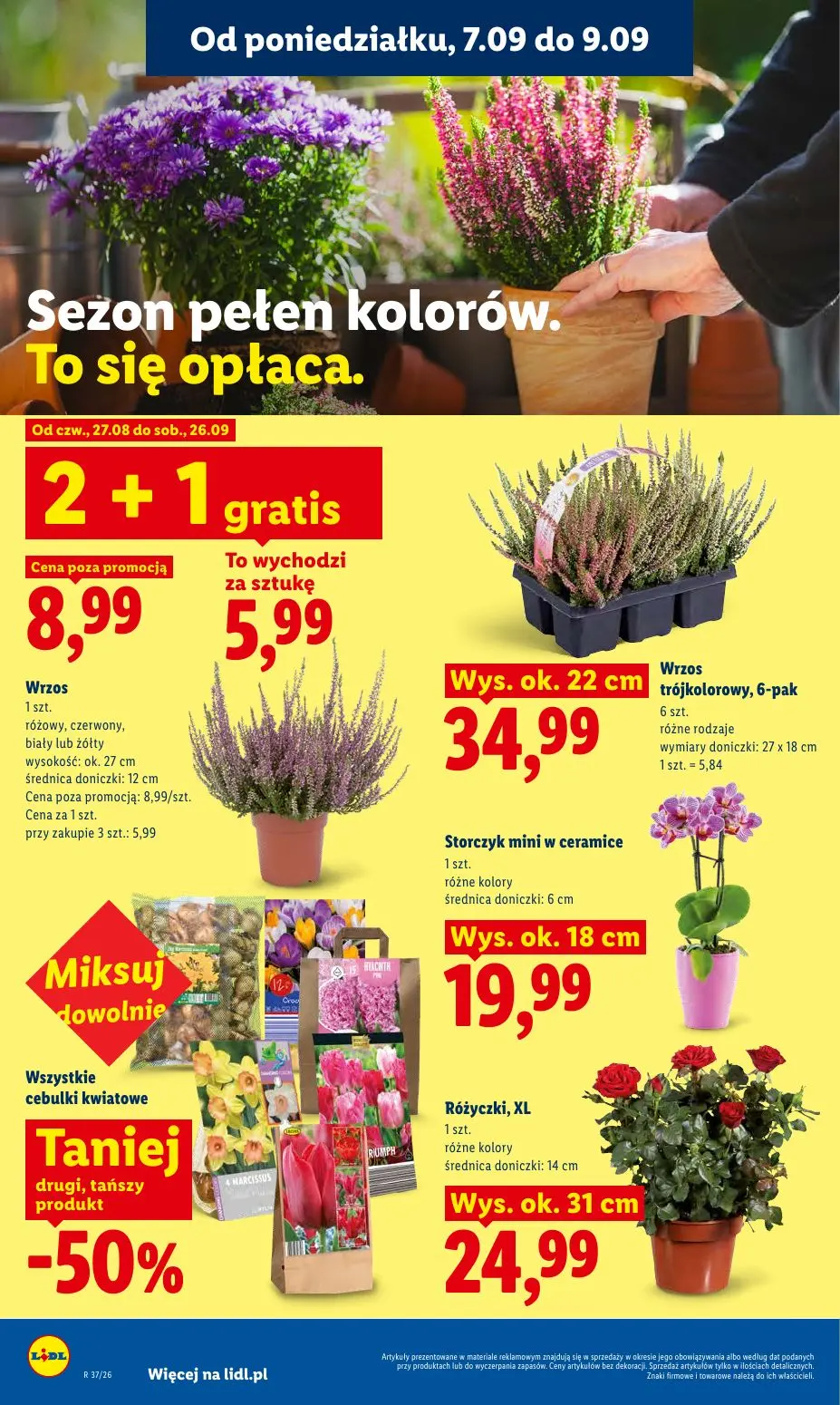 gazetka promocyjna LIDL Od poniedziałku - Strona 82