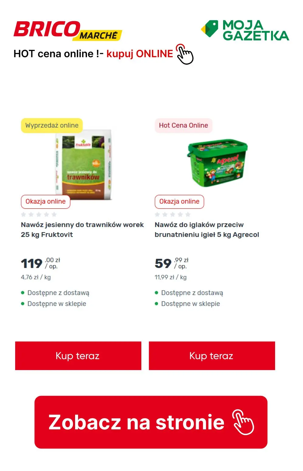 gazetka promocyjna BRICOMARCHE HOT cena online! - Strona 6