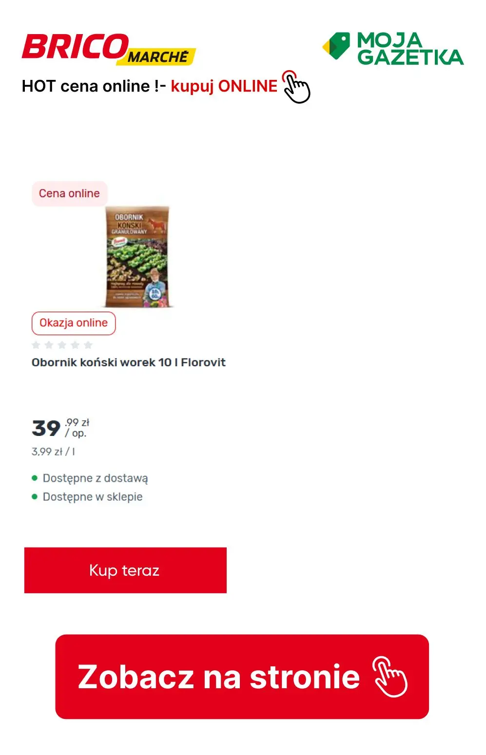 gazetka promocyjna BRICOMARCHE HOT cena online! - Strona 8