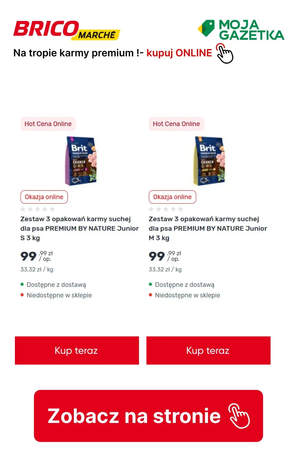 gazetka promocyjna BRICOMARCHE Na tropie karmy premium! - Strona 11