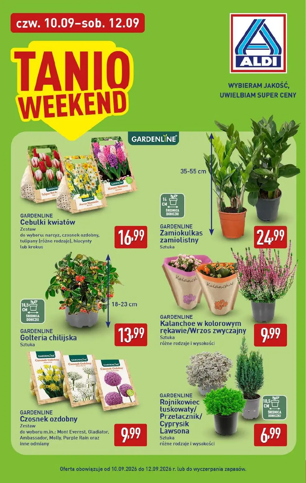 gazetka promocyjna ALDI Wybieram ALDI 🛒 - Strona 34