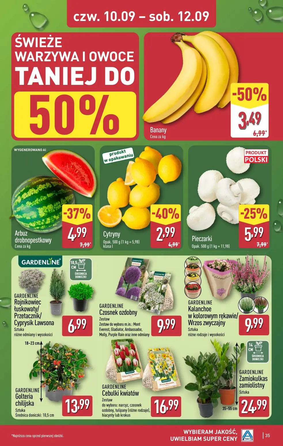 gazetka promocyjna ALDI Wybieram ALDI 🛒 - Strona 35