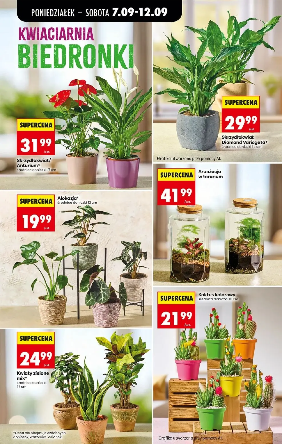 gazetka promocyjna Biedronka Od poniedziałku - Strona 81