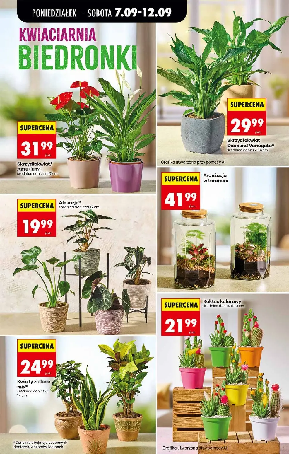 gazetka promocyjna Biedronka Lada tradycyjna. Od poniedziałku - Strona 72