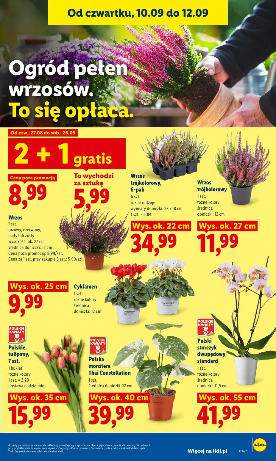 gazetka promocyjna LIDL Od czwartku - Strona 83