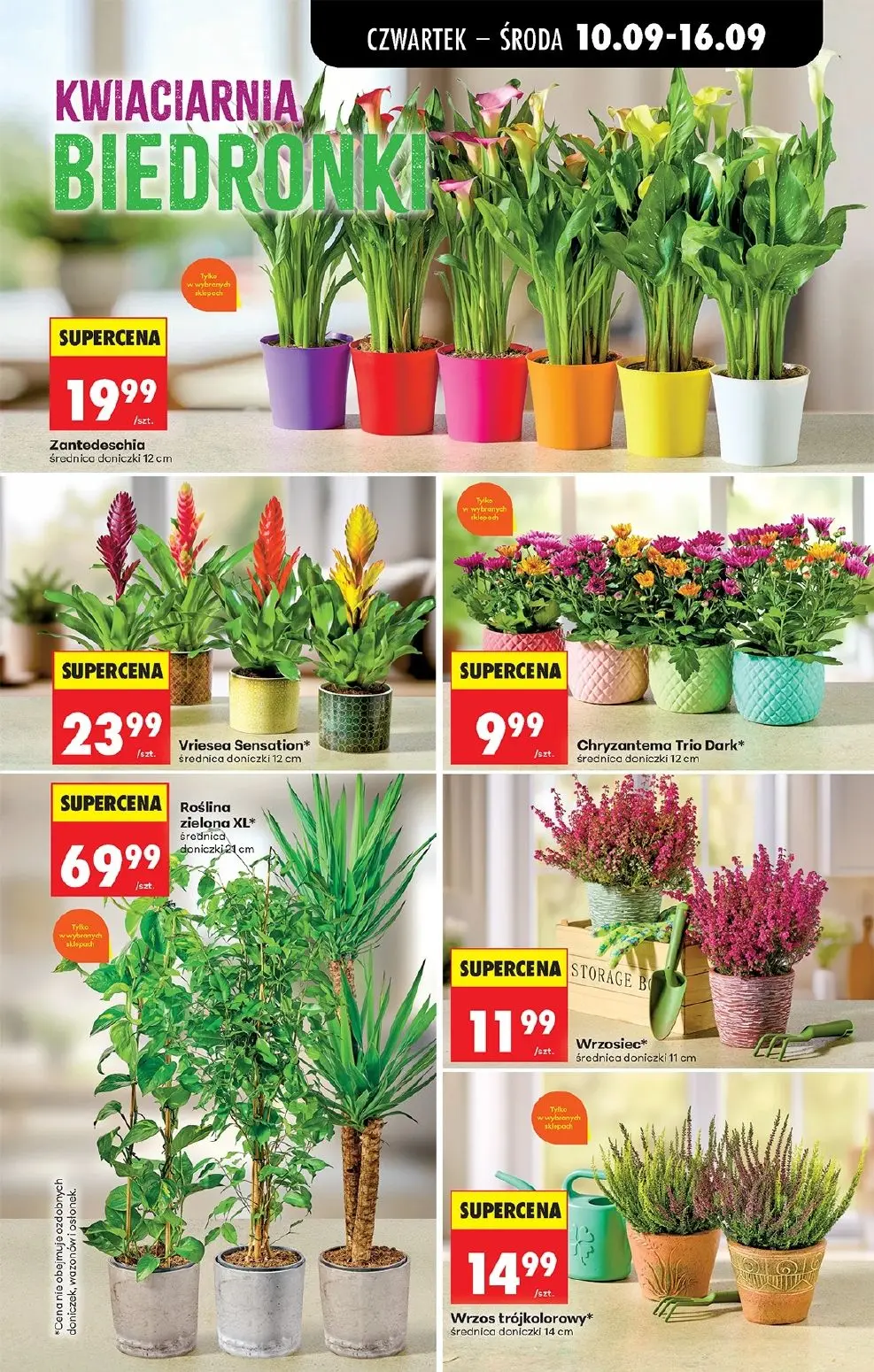 gazetka promocyjna Biedronka Od czwartku - Strona 93