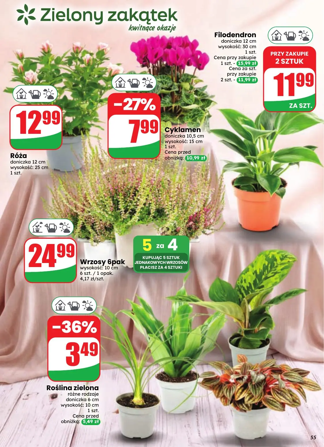 gazetka promocyjna dino Najbliżej Ciebie - Strona 55