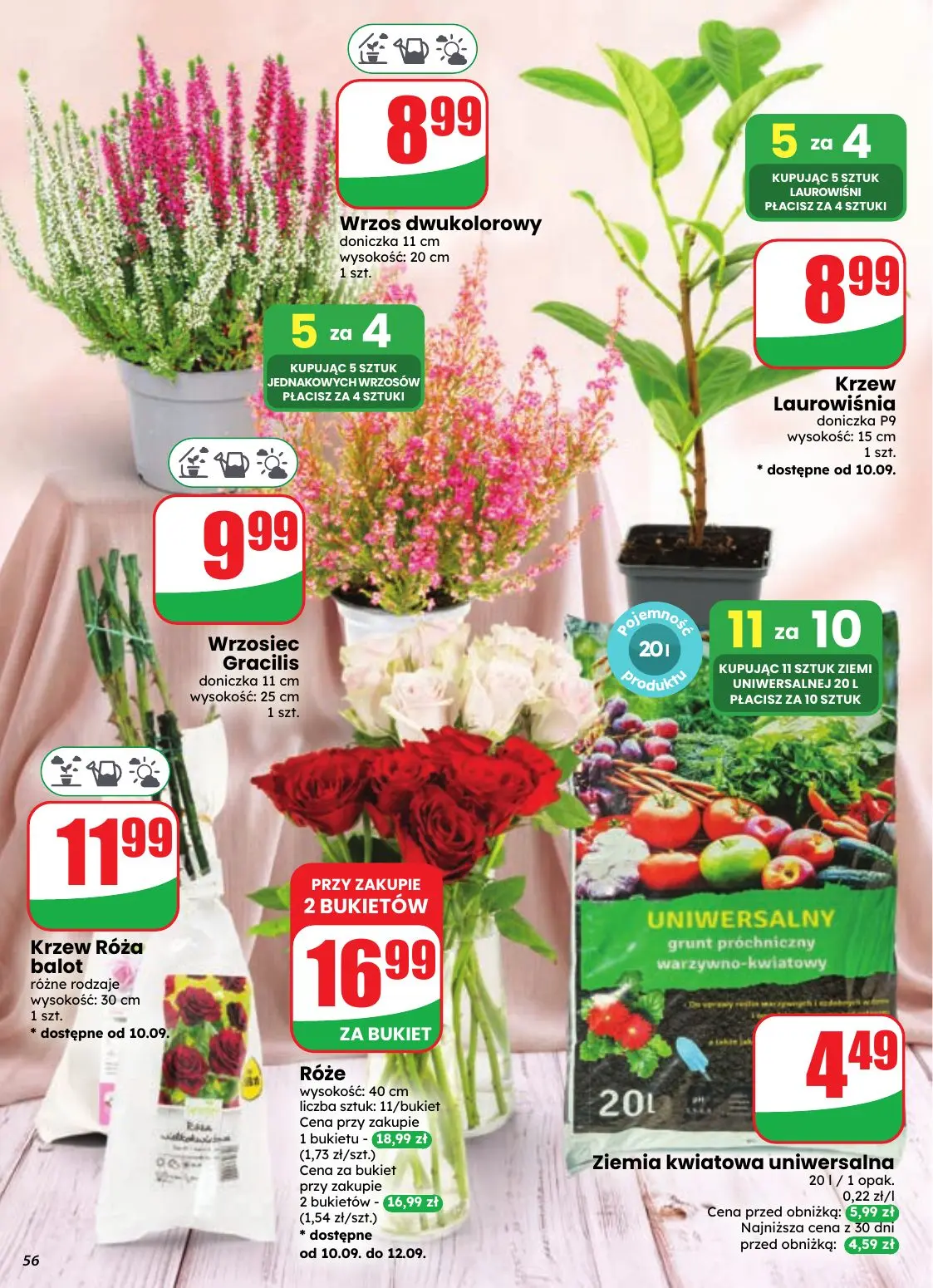 gazetka promocyjna dino Najbliżej Ciebie - Strona 56