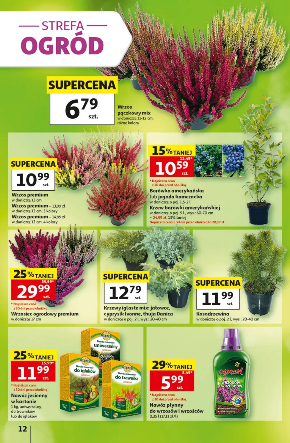 gazetka promocyjna Auchan Maxi rewelacje - Strona 12