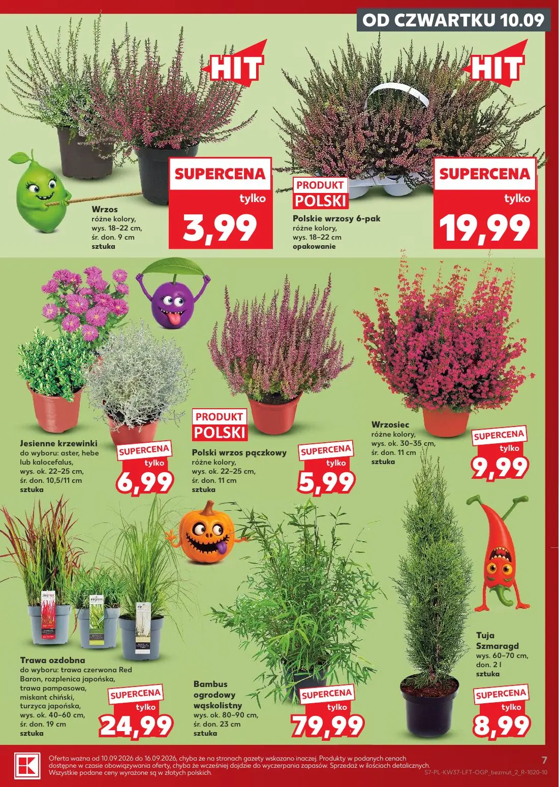 gazetka promocyjna Kaufland Jest fresz - Strona 7