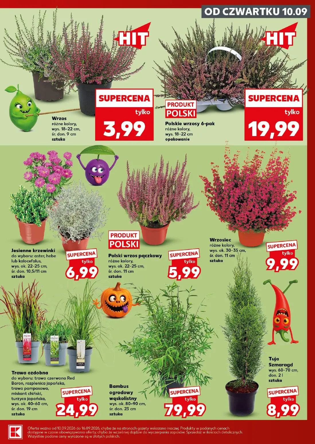 gazetka promocyjna Kaufland Mocny Start - Strona 7