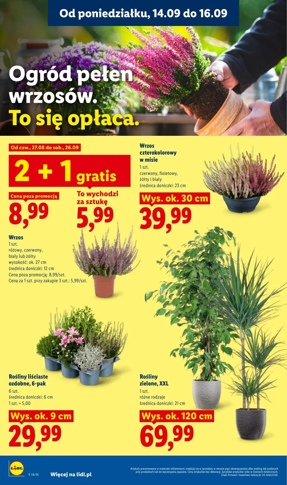 gazetka promocyjna LIDL Od poniedziałku - Strona 78