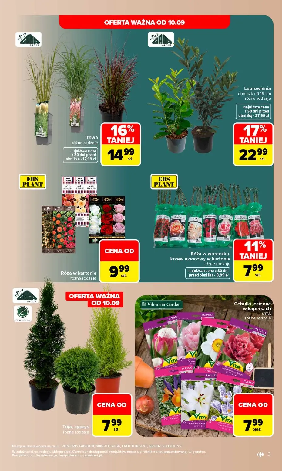 gazetka promocyjna Carrefour W sumie stylowy dom - Strona 3