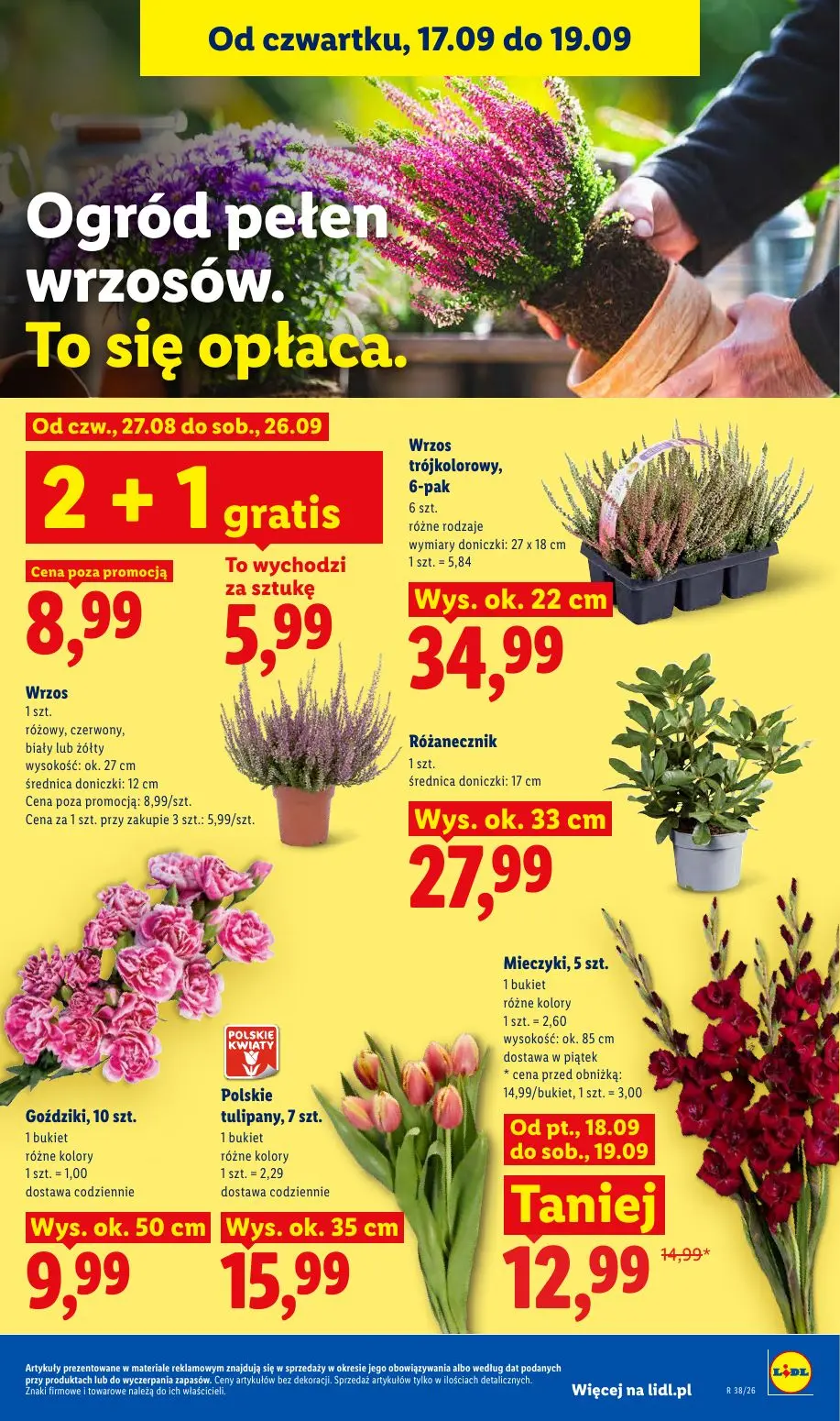 gazetka promocyjna LIDL Od poniedziałku - Strona 85