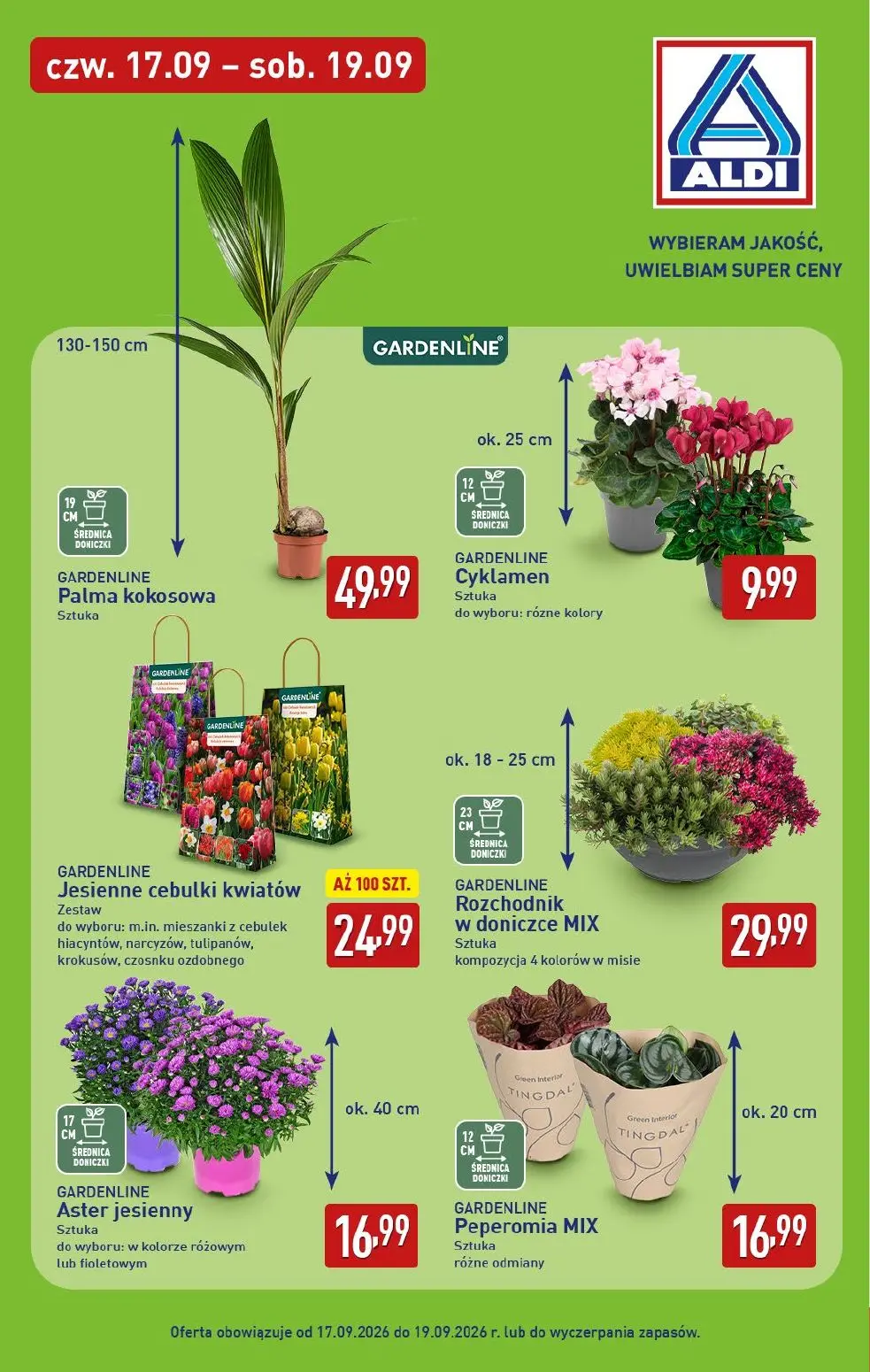 gazetka promocyjna ALDI Wybieram ALDI - Strona 31